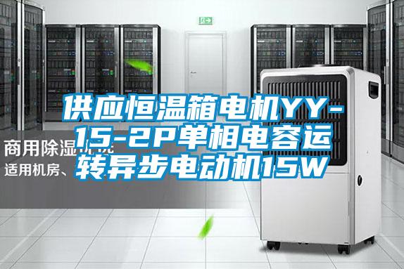 供應(yīng)恒溫箱電機(jī)YY-15-2P單相電容運轉(zhuǎn)異步電動機(jī)15W