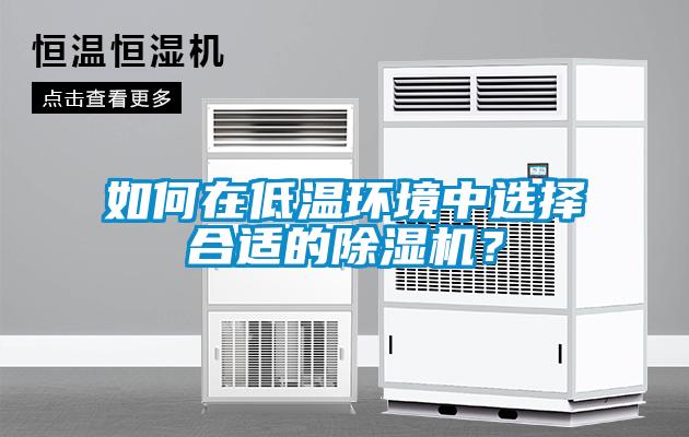 如何在低溫環(huán)境中選擇合適的除濕機？