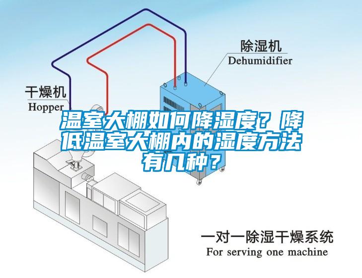 溫室大棚如何降濕度？降低溫室大棚內的濕度方法有幾種？