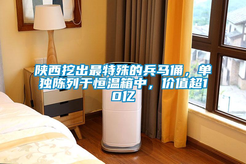 陜西挖出最特殊的兵馬俑，單獨陳列于恒溫箱中，價(jià)值超10億
