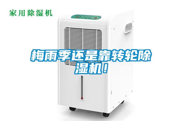 梅雨季還是靠轉輪除濕機！