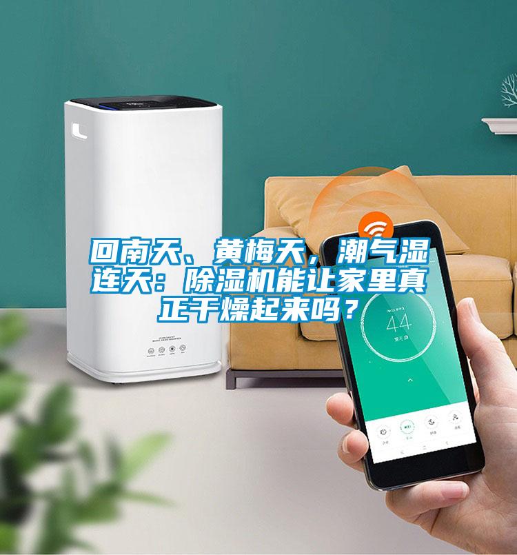 回南天、黃梅天，潮氣濕連天：除濕機能讓家里真正干燥起來(lái)嗎？