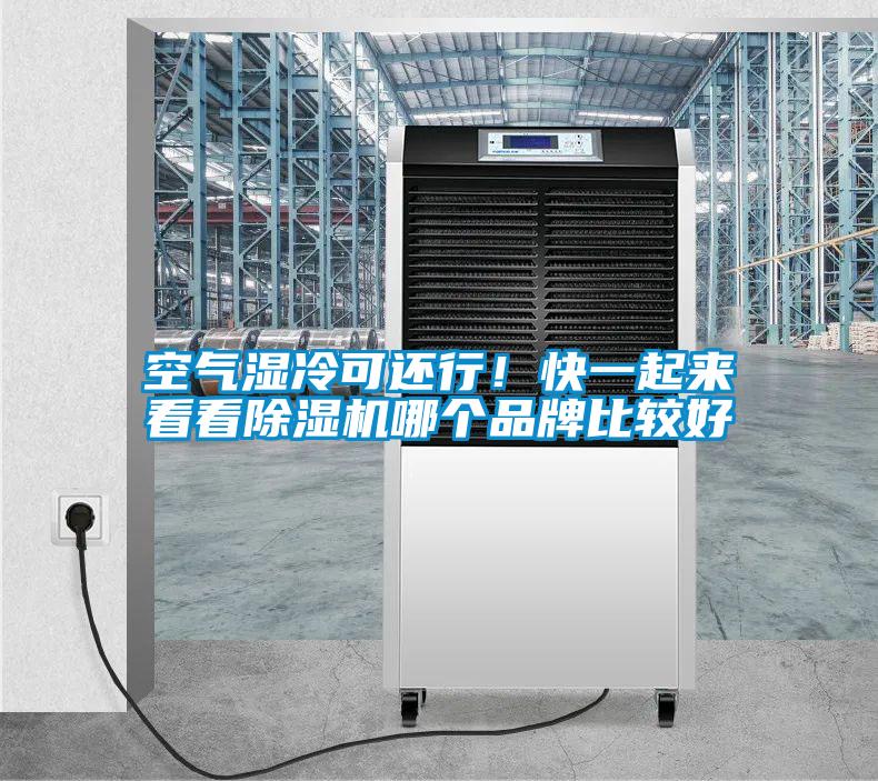 空氣濕冷可還行！快一起來(lái)看看除濕機哪個(gè)品牌比較好