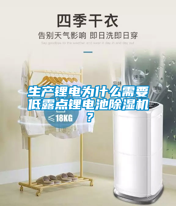 生產(chǎn)鋰電為什么需要低露點(diǎn)鋰電池除濕機？