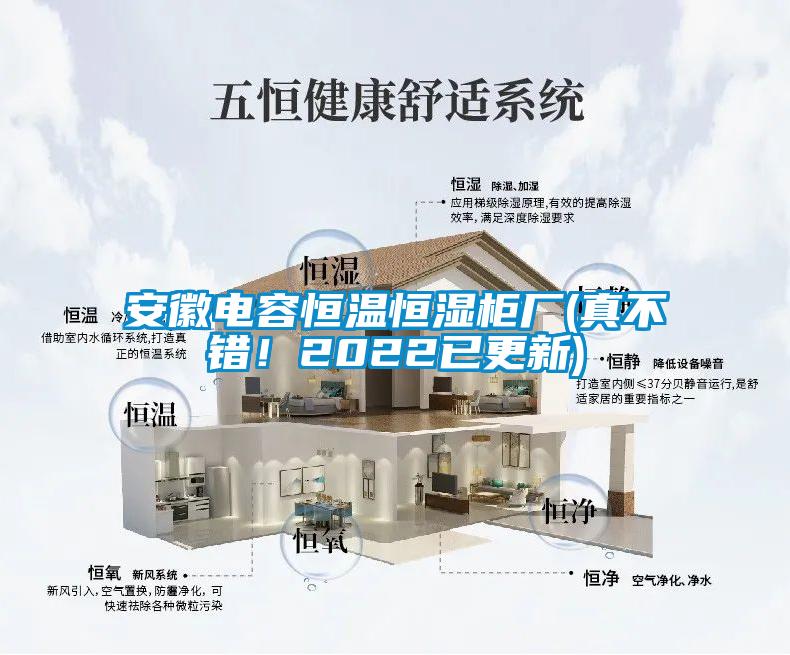 安徽電容恒溫恒濕柜廠(chǎng)(真不錯！2022已更新)