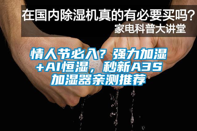 情人節必入？強力加濕+AI恒濕，秒新A3S加濕器親測推薦