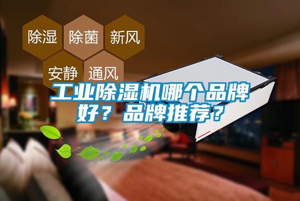 工業(yè)除濕機哪個(gè)品牌好？品牌推薦？