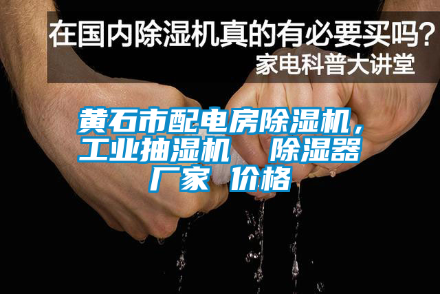 黃石市配電房除濕機，工業(yè)抽濕機  除濕器廠(chǎng)家 價(jià)格