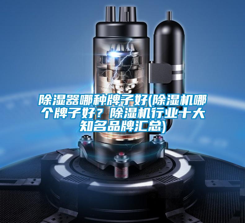 除濕器哪種牌子好(除濕機哪個(gè)牌子好？除濕機行業(yè)十大知名品牌匯總)