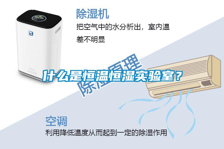 什么是恒溫恒濕實(shí)驗室？