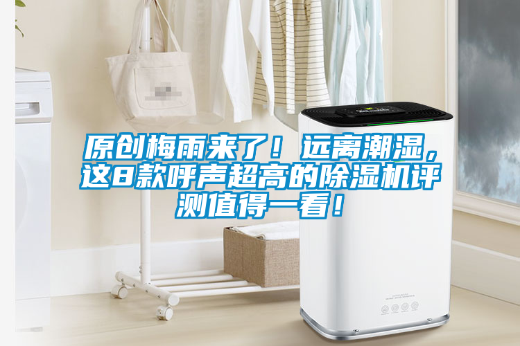 原創(chuàng  )梅雨來(lái)了！遠離潮濕，這8款呼聲超高的除濕機評測值得一看！