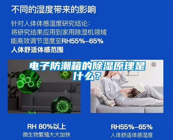 電子防潮箱的除濕原理是什么？