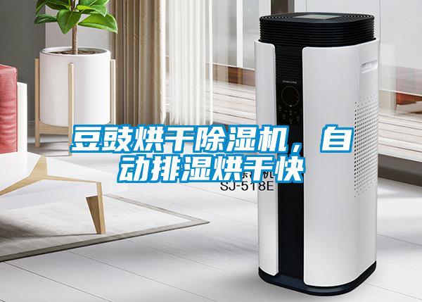 豆豉烘干除濕機，自動(dòng)排濕烘干快