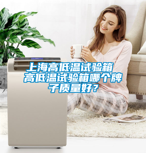 上海高低溫試驗箱 高低溫試驗箱哪個(gè)牌子質(zhì)量好？