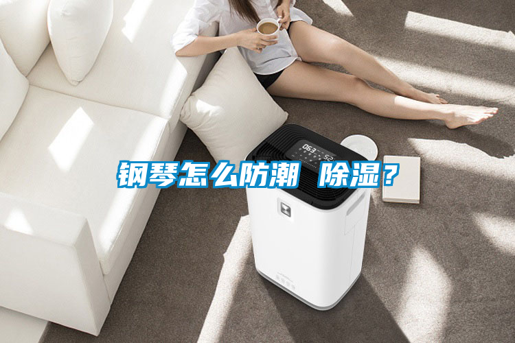 鋼琴怎么防潮 除濕？
