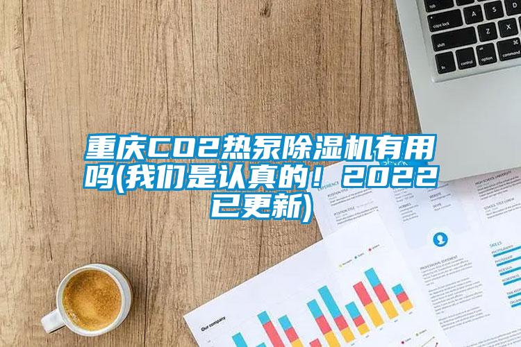 重慶CO2熱泵除濕機有用嗎(我們是認真的！2022已更新)