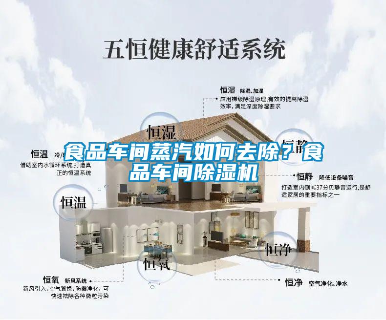 食品車(chē)間蒸汽如何去除？食品車(chē)間除濕機