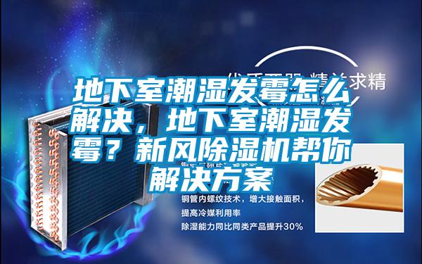 地下室潮濕發(fā)霉怎么解決，地下室潮濕發(fā)霉？新風(fēng)除濕機幫你解決方案