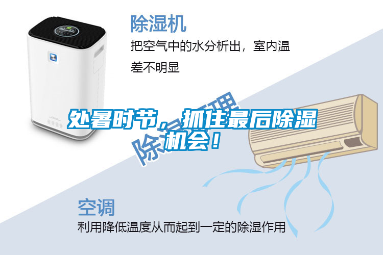 處暑時(shí)節，抓住最后除濕機會(huì )！