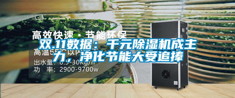 雙.11數據：千元除濕機成主力，凈化節能大受追捧