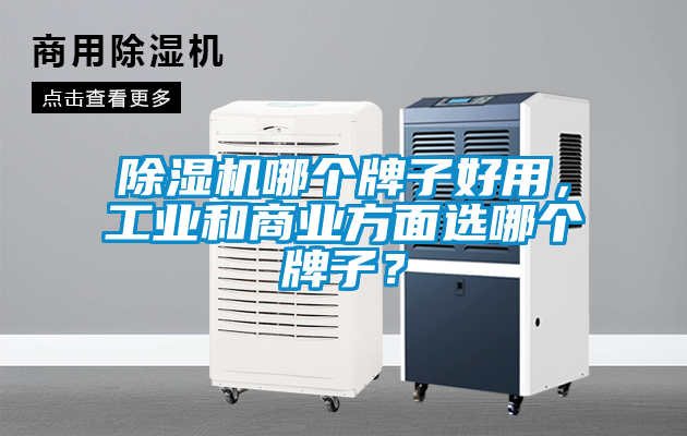 除濕機哪個(gè)牌子好用，工業(yè)和商業(yè)方面選哪個(gè)牌子？