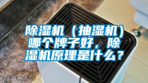除濕機（抽濕機）哪個(gè)牌子好，除濕機原理是什么？