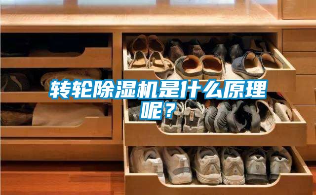 轉輪除濕機是什么原理呢？