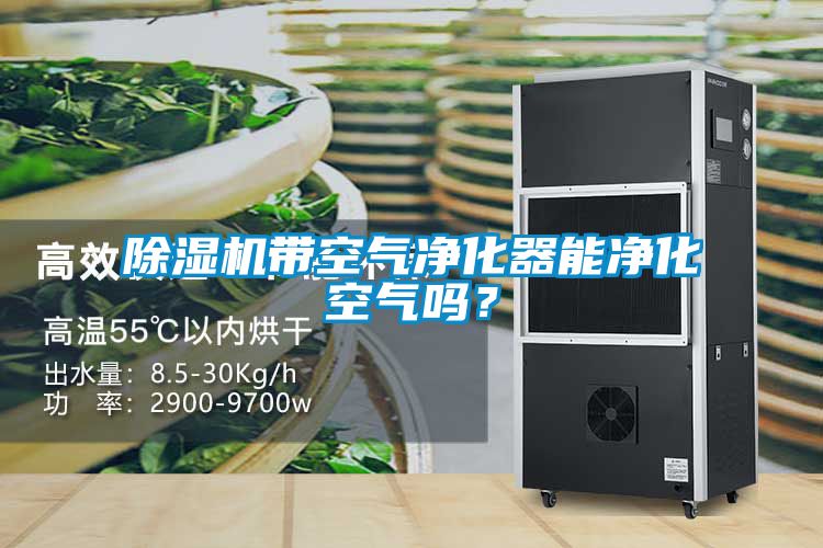 除濕機帶空氣凈化器能凈化空氣嗎？