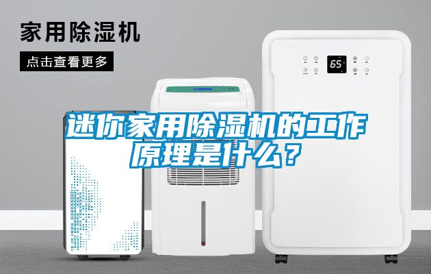 迷你家用除濕機的工作原理是什么？