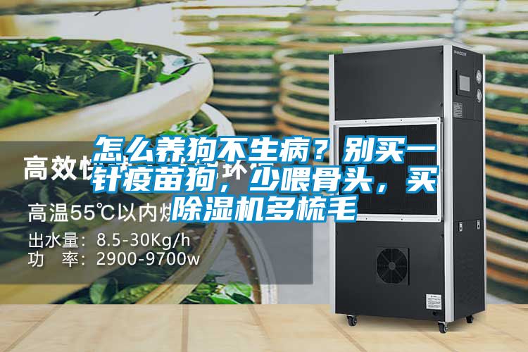 怎么養狗不生??？別買(mǎi)一針疫苗狗，少喂骨頭，買(mǎi)除濕機多梳毛