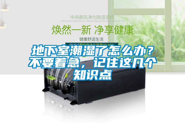 地下室潮濕了怎么辦？不要著(zhù)急，記住這幾個(gè)知識點(diǎn)