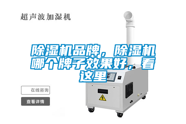 除濕機品牌，除濕機哪個(gè)牌子效果好，看這里