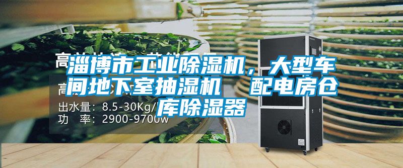 淄博市工業(yè)除濕機，大型車(chē)間地下室抽濕機  配電房倉庫除濕器