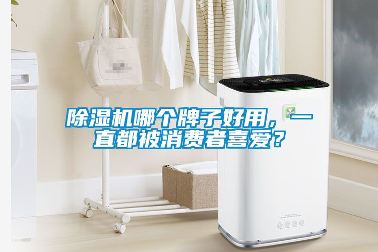 除濕機哪個(gè)牌子好用，一直都被消費者喜愛(ài)？