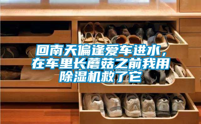 回南天偏逢愛(ài)車(chē)進(jìn)水，在車(chē)里長(cháng)蘑菇之前我用除濕機救了它