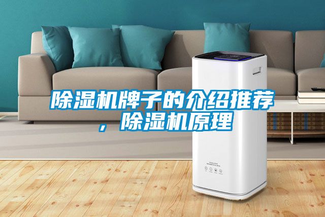 除濕機牌子的介紹推薦，除濕機原理