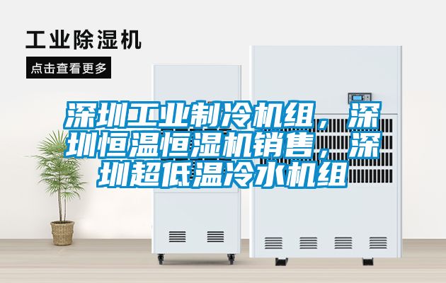 深圳工業(yè)制冷機組，深圳恒溫恒濕機銷(xiāo)售，深圳超低溫冷水機組