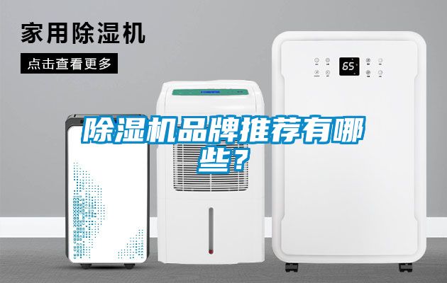 除濕機品牌推薦有哪些？