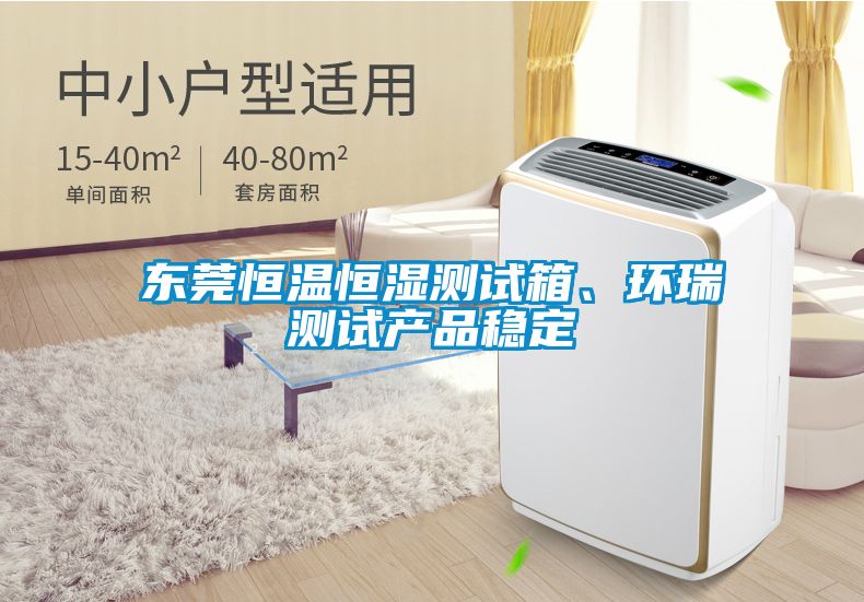 東莞恒溫恒濕測試箱、環(huán)瑞測試產(chǎn)品穩定