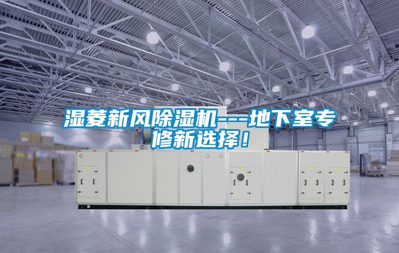 濕菱新風(fēng)除濕機---地下室專(zhuān)修新選擇！