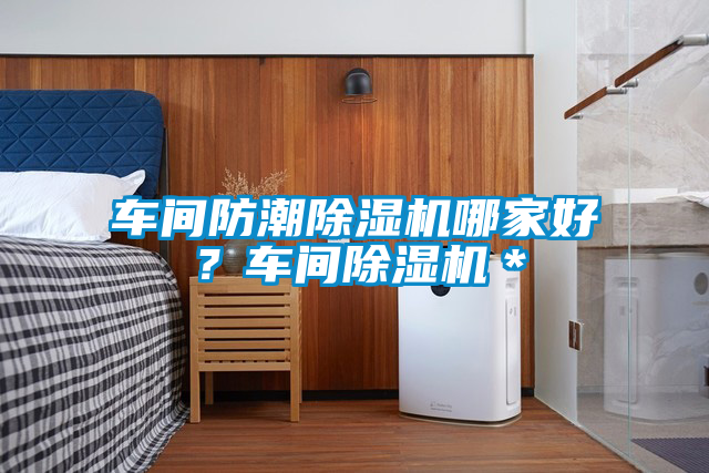 車(chē)間防潮除濕機哪家好？車(chē)間除濕機＊
