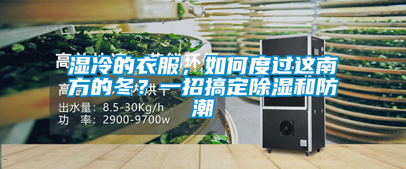 濕冷的衣服，如何度過(guò)這南方的冬？一招搞定除濕和防潮