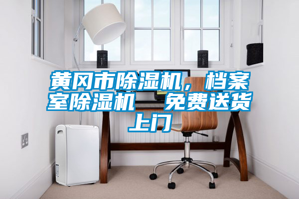 黃岡市除濕機,檔案室除濕機 免費送貨上門