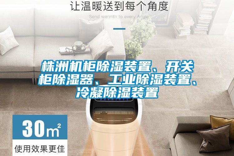 株洲機柜除濕裝置、開(kāi)關(guān)柜除濕器、工業(yè)除濕裝置、冷凝除濕裝置