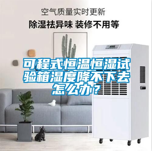 可程式恒溫恒濕試驗箱濕度降不下去怎么辦？