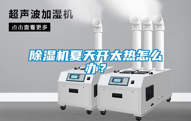 除濕機夏天開(kāi)太熱怎么辦？