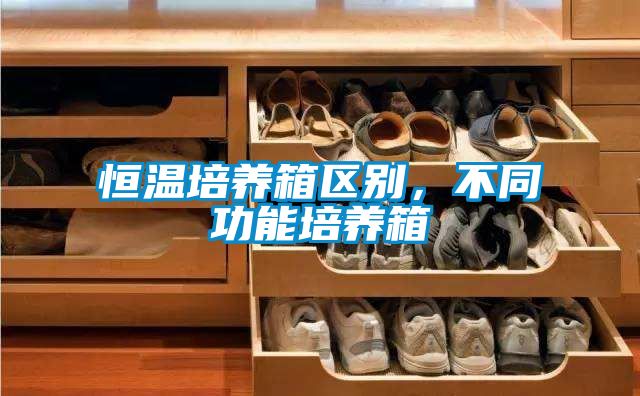 恒溫培養箱區別，不同功能培養箱