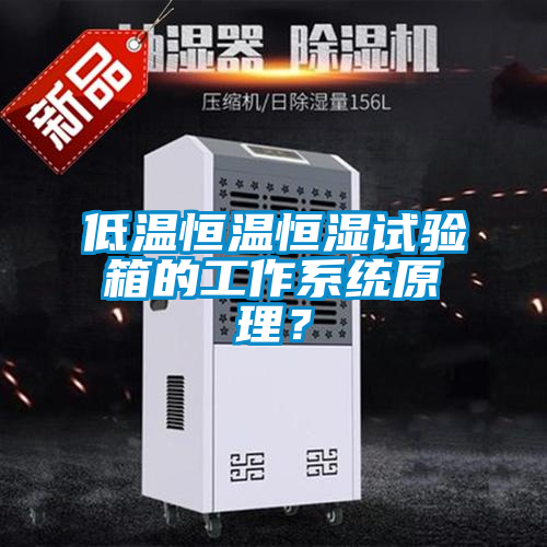 低溫恒溫恒濕試驗箱的工作系統原理？