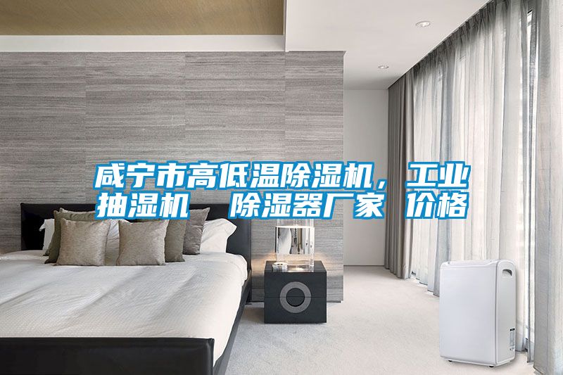 咸寧市高低溫除濕機，工業(yè)抽濕機  除濕器廠(chǎng)家 價(jià)格