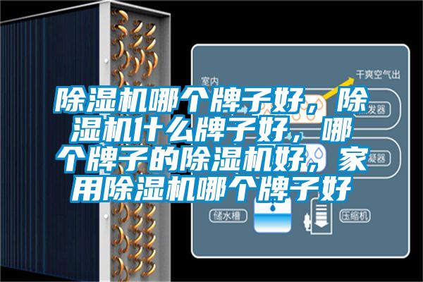 除濕機哪個(gè)牌子好，除濕機什么牌子好，哪個(gè)牌子的除濕機好，家用除濕機哪個(gè)牌子好
